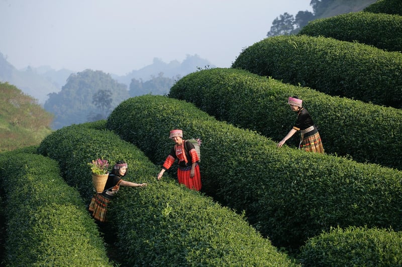 Sensory Garden Experience