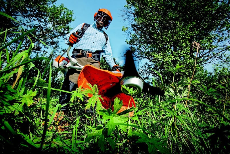 Gardening Image